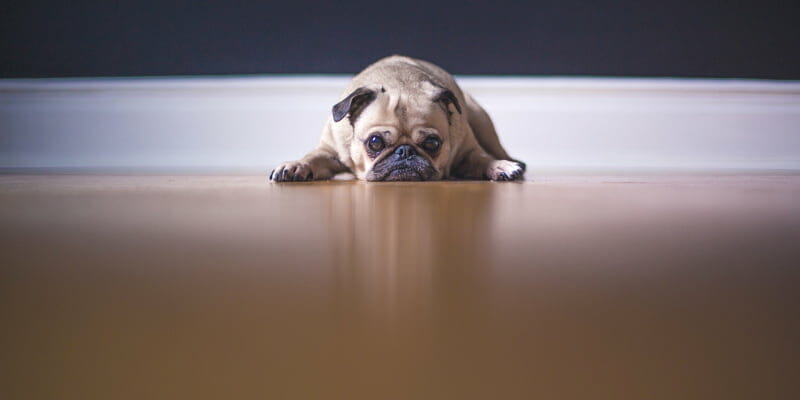 underfloor heating benefits P Mac Dublin underfloor heating benefits P Mac Dublin