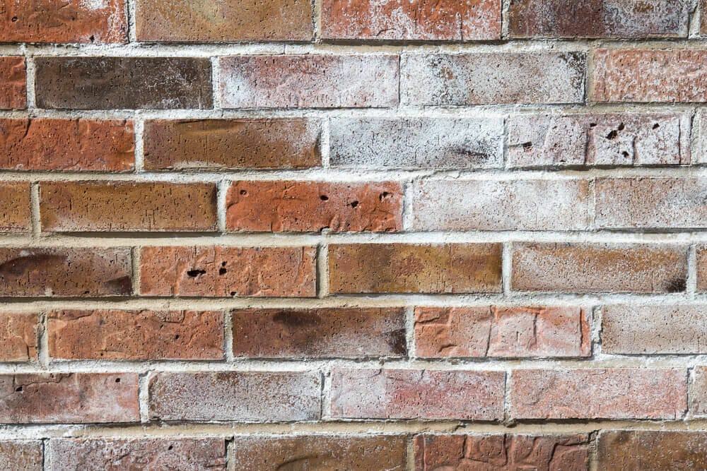 Efflorescence on Brickwall Efflorescence build up on bricks