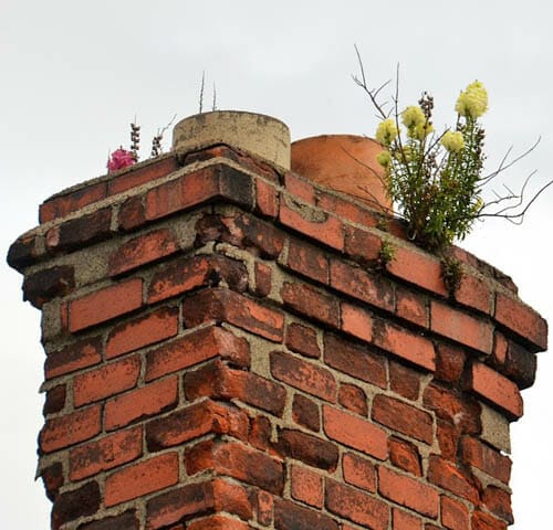damaged chimney chimney damaged with brick spalling and growth