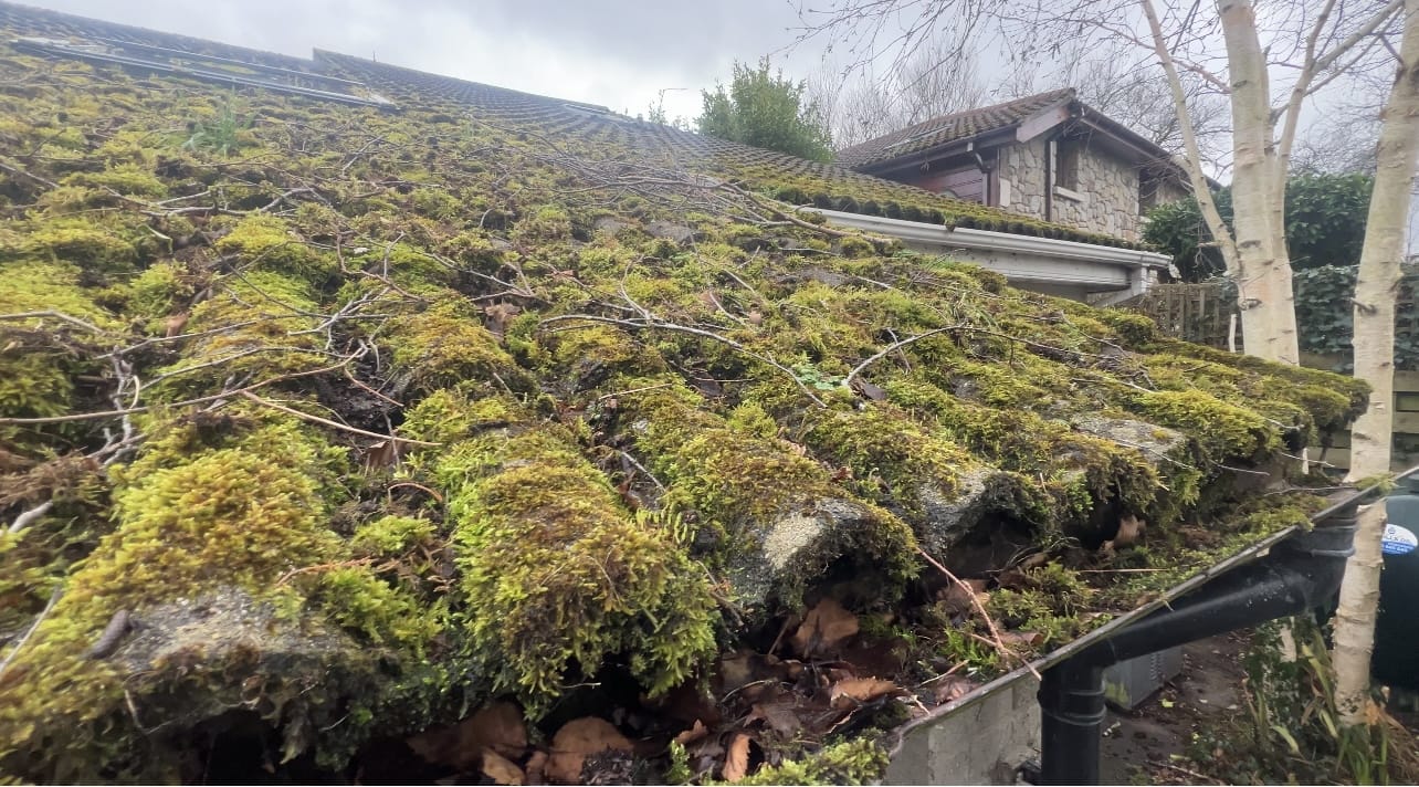 Roof Cleaning by PMAC Roof Cleaning by PMAC